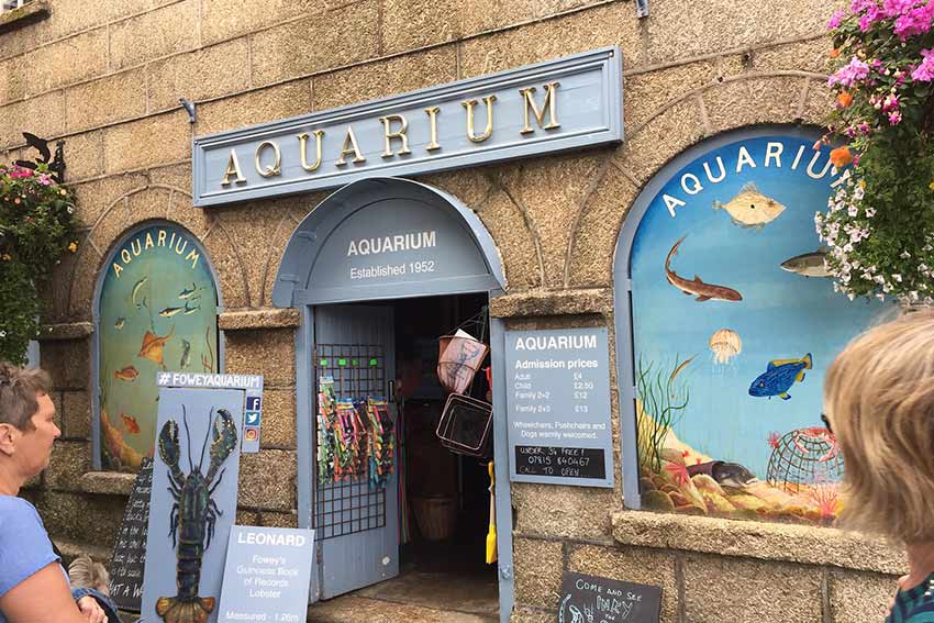 Top 10 attractions in Fowey - Aquarium